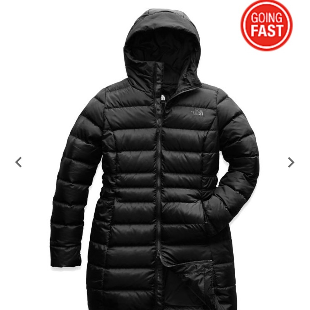 The Northface Gotham parka